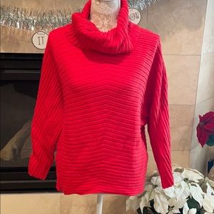 Red Turtle Cowl Neck Sweater